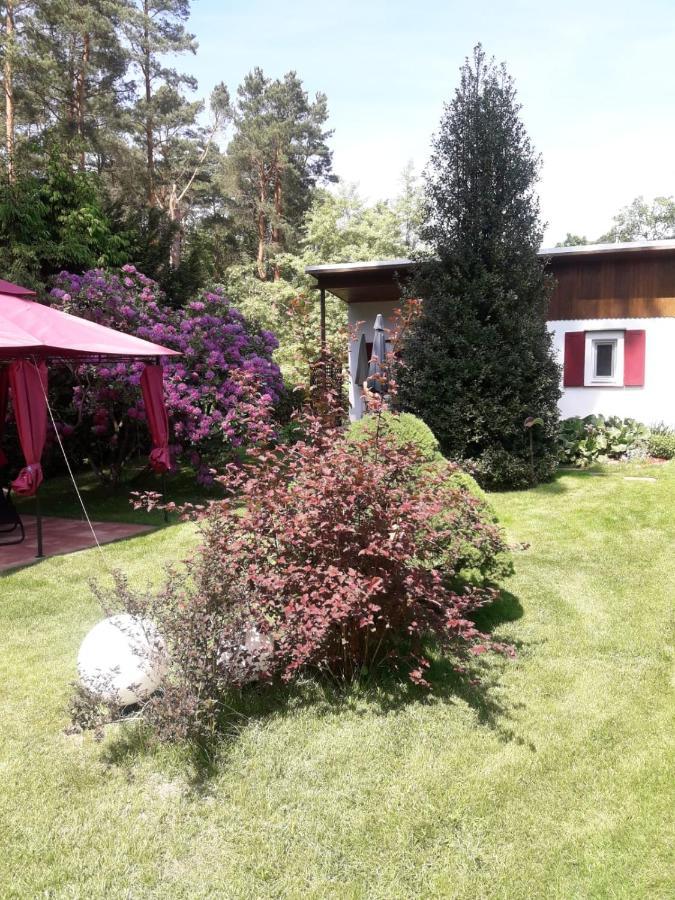 Ferienhaus Am Langen See Heidesee Exteriör bild